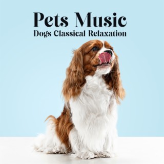Dogs Classical Relaxation: Pets Music, Quiet Instrumental Songs for Separation Anxiety and Sleep Problems, Friends Love While You Are Gone