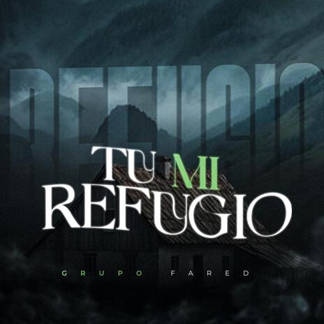 Tu mi refugio | Boomplay Music