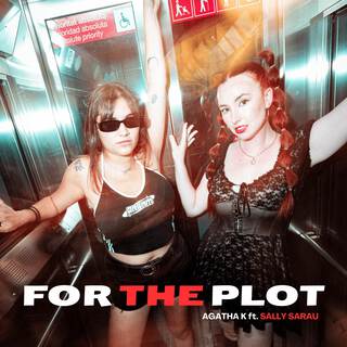 For the plot ft. Sally Sarau lyrics | Boomplay Music