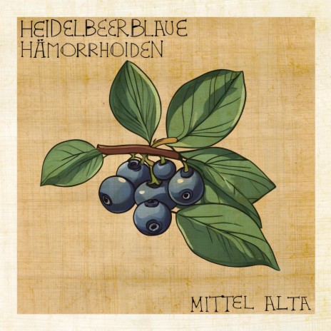 Heidelbeerblaue Hämorrhoiden