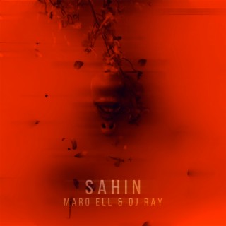 Sahin