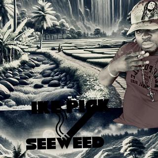 Seeweed