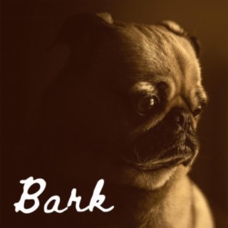 Bark