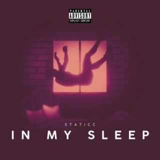 IN MY SLEEP