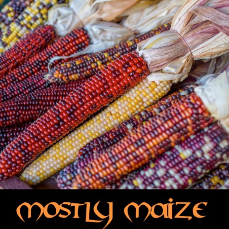 Flint Maize | Boomplay Music