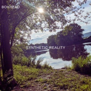Synthetic Reality