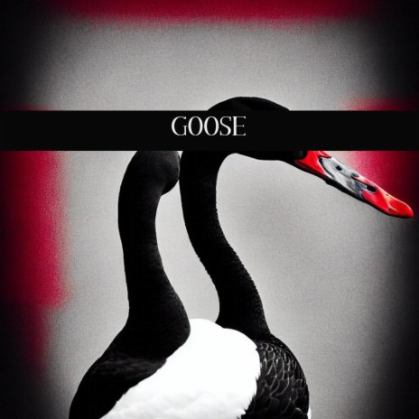 Goose | Boomplay Music