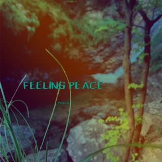 Feeling Peace