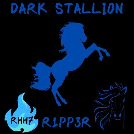 DARK STALLION | Boomplay Music