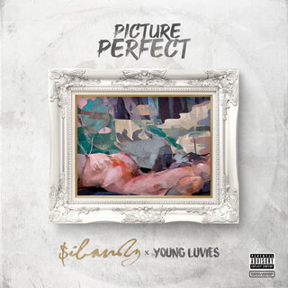 Picture Perfect (Remix)