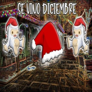 Se vino diciembre