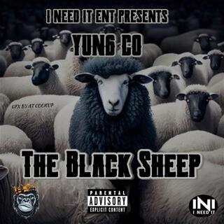 The Black Sheep