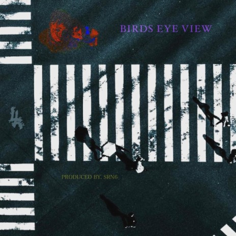 BIRDS EYE VIEW ft. Sean Ronne | Boomplay Music