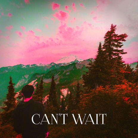 Can't Wait | Boomplay Music