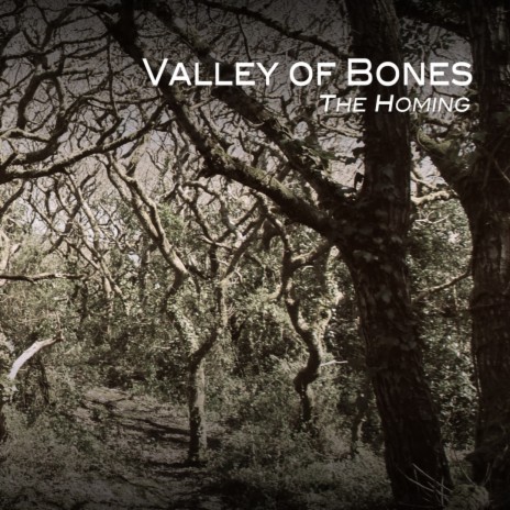 Valley of Bones | Boomplay Music