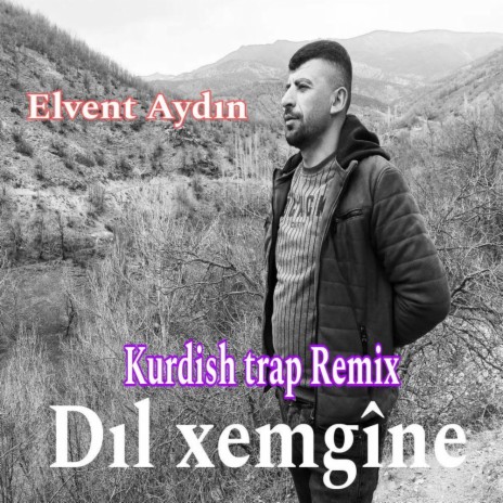 Elvent Aydın__Dıl xemgîne