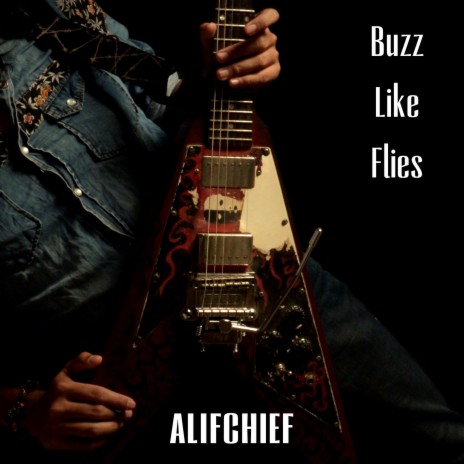Buzz Like Flies | Boomplay Music