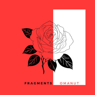 Fragments