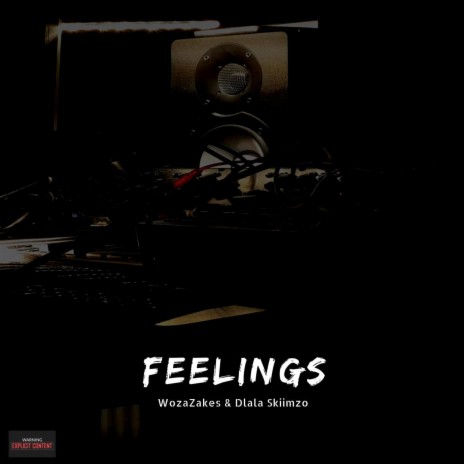 Feelings ft. Woza Zakes | Boomplay Music