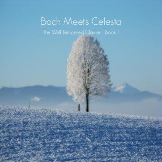 Bach Meets Celesta - The Well Tempered Clavier Book I