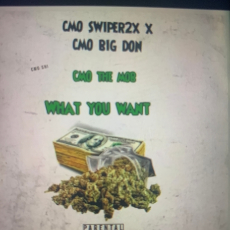 What you want ft. Big don