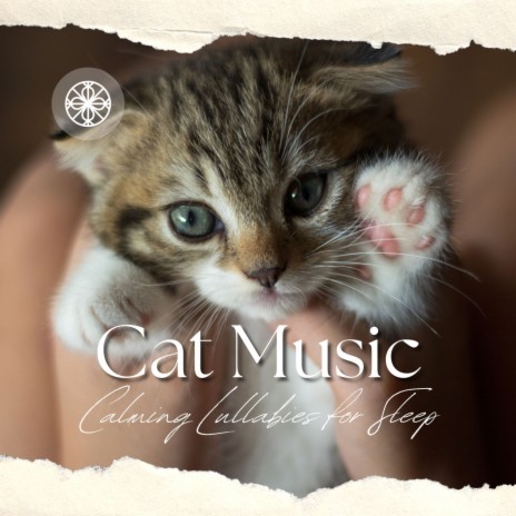 Purrfect Harmony | Boomplay Music