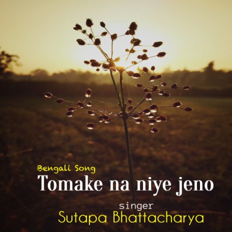 Tomake Na Niye Jeno | Boomplay Music