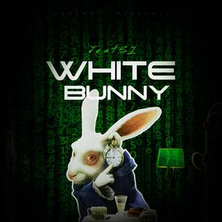 WHITE BUNNY lyrics | Boomplay Music