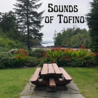 Sounds of Tofino