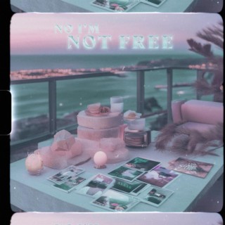No I'm Not Free lyrics | Boomplay Music
