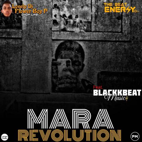 Mara Revolution ft. Lovely DJ Flower Boy P | Boomplay Music