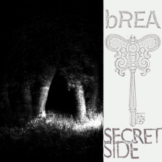 SECRET SIDE