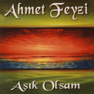 Aşık Olsam