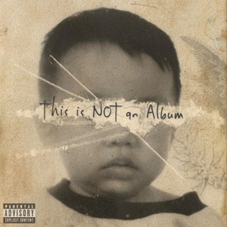 This is NOT an Album