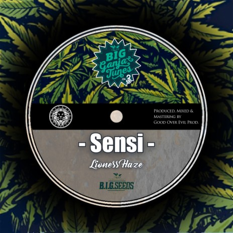 Sensi Dub ft. Good Over Evil | Boomplay Music