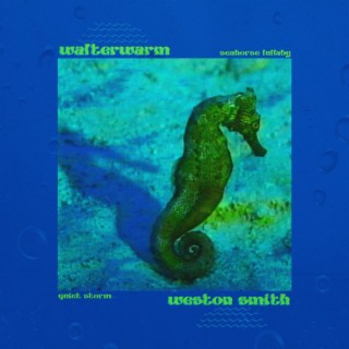 seahorse lullaby / quiet storm