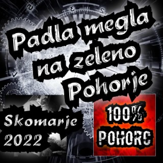 Padla megla na zeleno Pohorje (Skomarje 22)