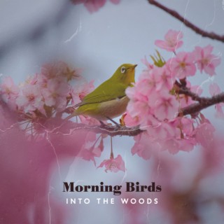 Into the Woods: Morning Birds - Nature Sounds Music for Relaxation Meditation