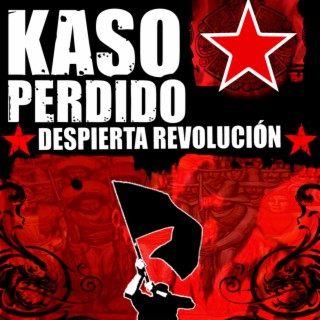 Despierta revolución