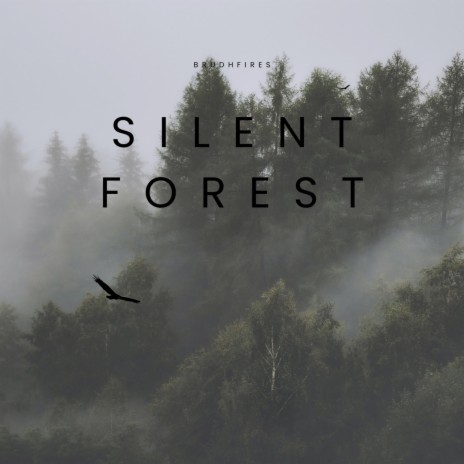 Silent Forest