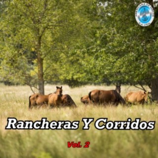 Rancheras y Corridos, Vol. 2
