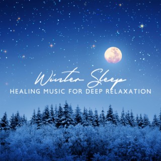Winter Sleep: Healing Music for Deep Relaxation & Meditation, Daily Soothing Time, Quiet Mind, Sleep, Study