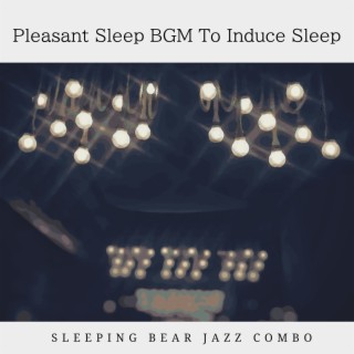 Pleasant Sleep Bgm to Induce Sleep