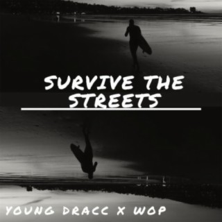 SURVIVE THE STREETS
