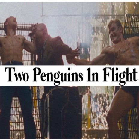 Two Penguins in Flight