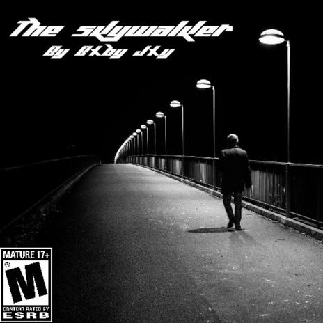 THE SKYWALKER | Boomplay Music