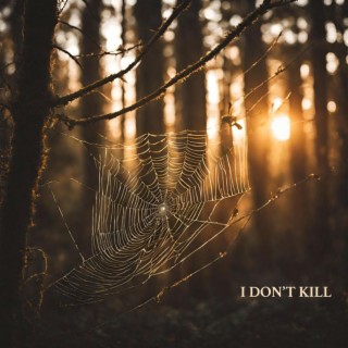 I Don't Kill lyrics | Boomplay Music