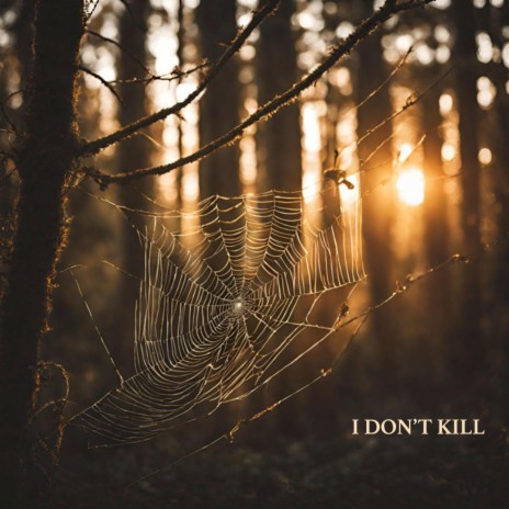 I Don't Kill | Boomplay Music