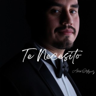 Te Necesito lyrics | Boomplay Music