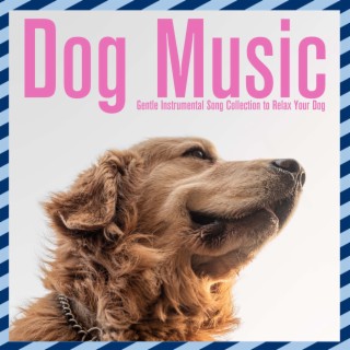Dog Music: Gentle Instrumental Song Collection to Relax Your Dog
